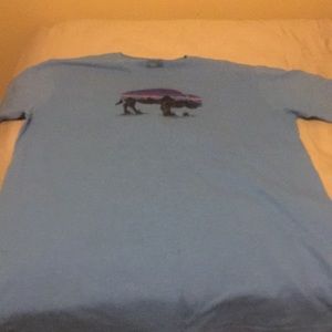 Patagonia t-shirt